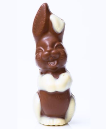 Small Bunny