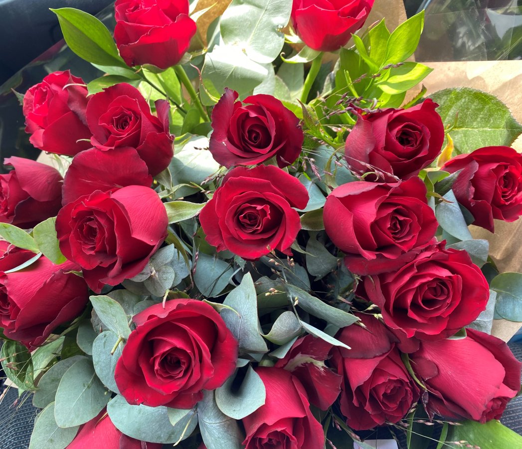 Roses are Red x 12