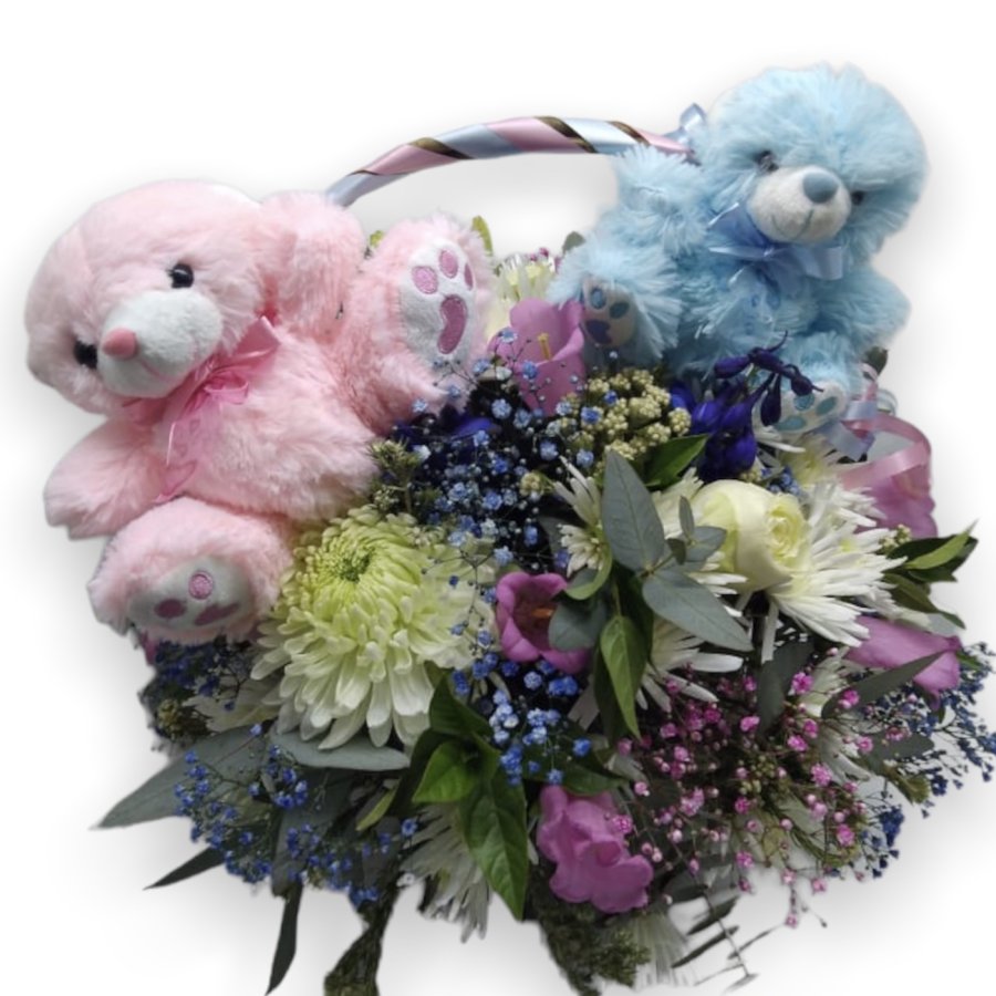 Pink and Blue for twins!